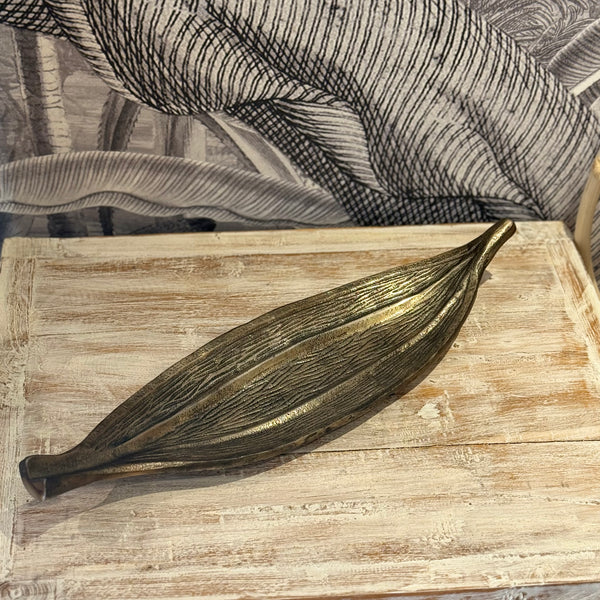 Feuille tropicale
