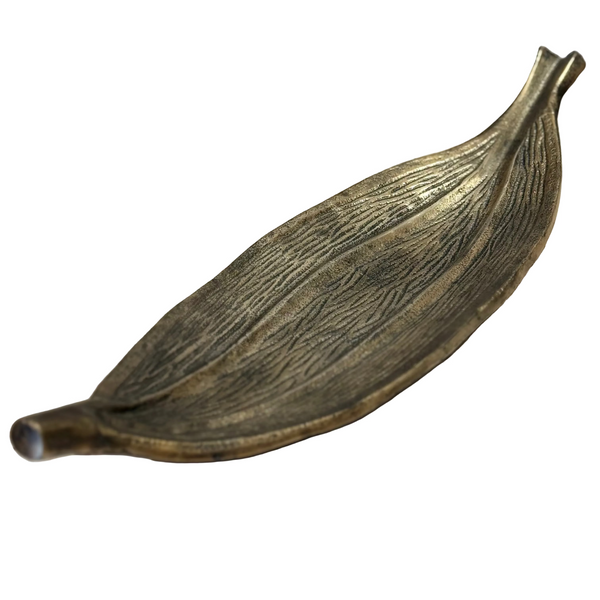 Feuille tropicale